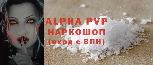 амф Коряжма