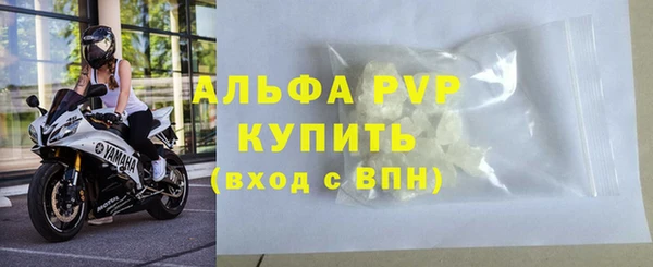 амф Коряжма