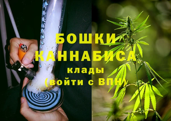 амф Коряжма