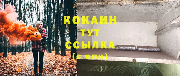 твердый Корсаков