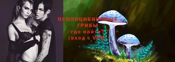 твердый Корсаков