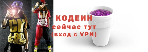 твердый Корсаков