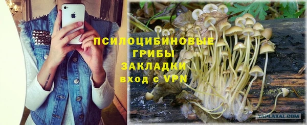 амф Коряжма