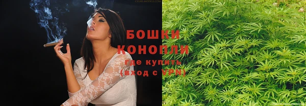 твердый Корсаков