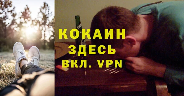 твердый Корсаков