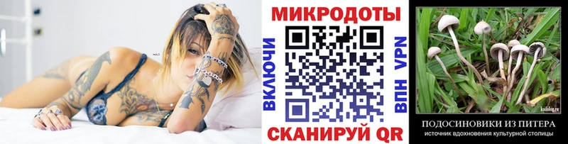 Купить Оха Псилоцибиновые грибы Psilocybine cubensis